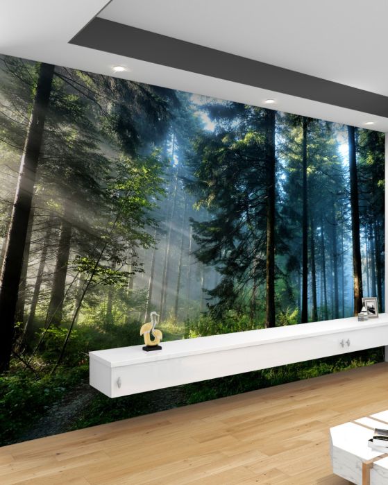 Carta da parati Foresta